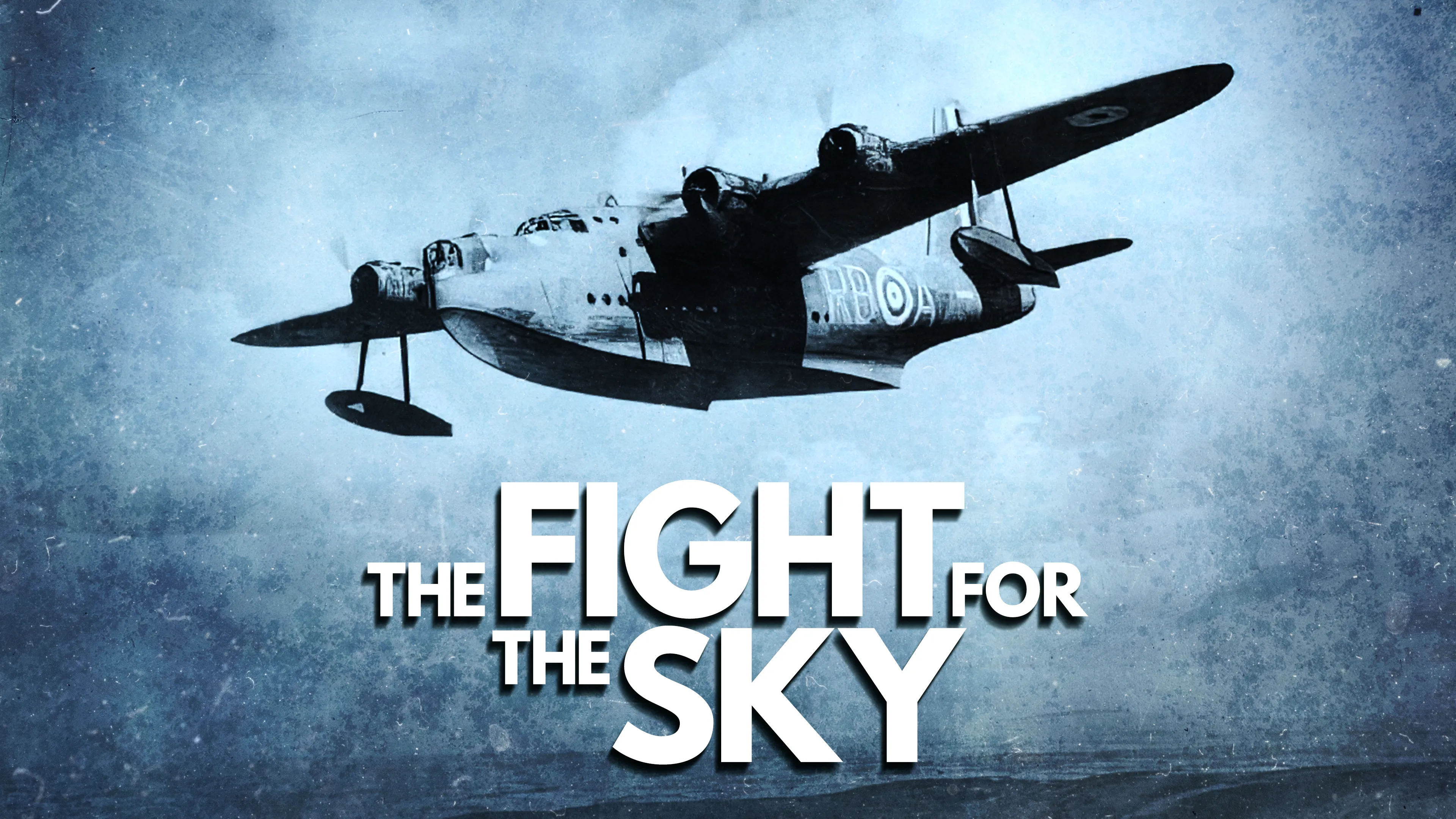 The Fight for the Sky poster
